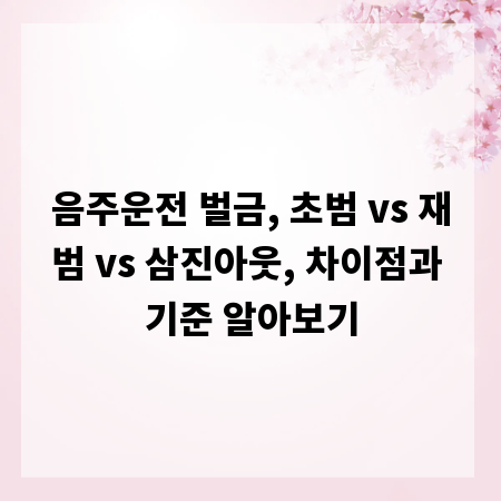 음주운전 벌금, 초범 vs 재범 vs 삼진아웃, 차이점과 기준 알아보기
