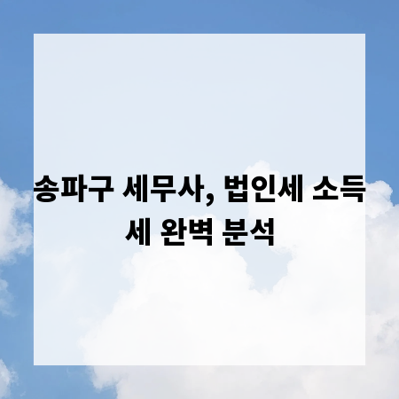 송파구 세무사, 법인세 소득세 완벽 분석