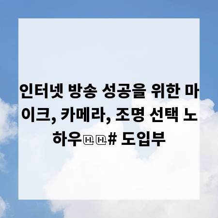 인터넷 방송 성공을 위한 마이크, 카메라, 조명 선택 노하우

# 도입부