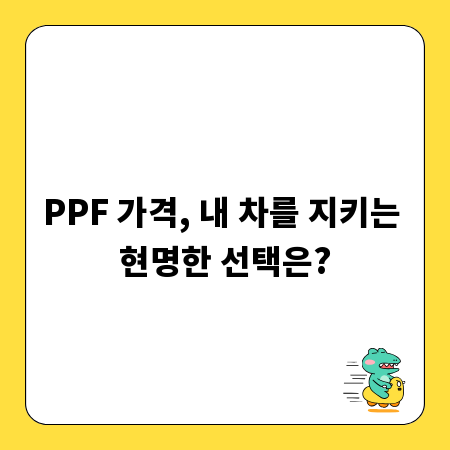 PPF 가격, 내 차를 지키는 현명한 선택은?