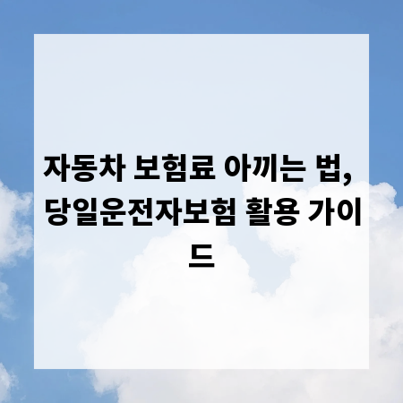 자동차 보험료 아끼는 법, 당일운전자보험 활용 가이드