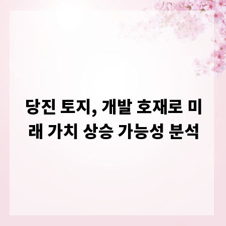 당진 토지, 개발 호재로 미래 가치 상승 가능성 분석