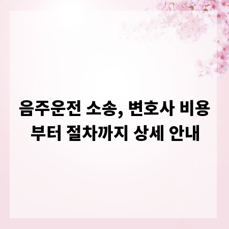 음주운전 소송, 변호사 비용부터 절차까지 상세 안내
