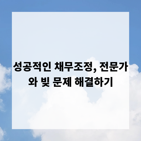 성공적인 채무조정, 전문가와 빚 문제 해결하기