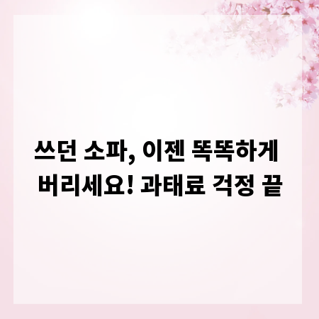 쓰던 소파, 이젠 똑똑하게 버리세요! 과태료 걱정 끝