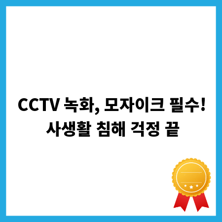CCTV 녹화, 모자이크 필수! 사생활 침해 걱정 끝
