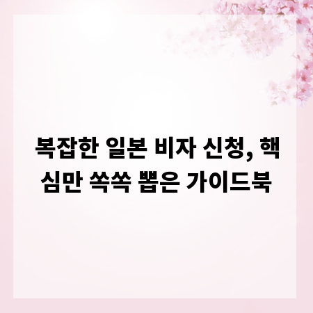 복잡한 일본 비자 신청, 핵심만 쏙쏙 뽑은 가이드북
