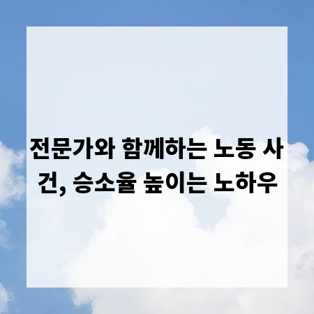 전문가와 함께하는 노동 사건, 승소율 높이는 노하우