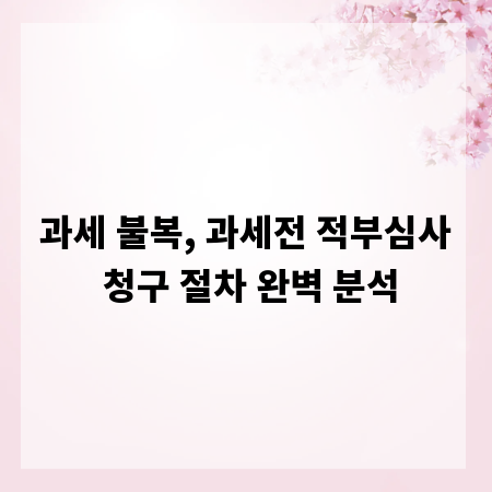 과세 불복, 과세전 적부심사 청구 절차 완벽 분석