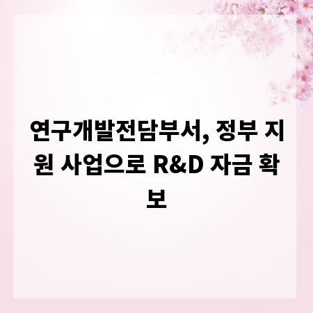 연구개발전담부서, 정부 지원 사업으로 R&D 자금 확보