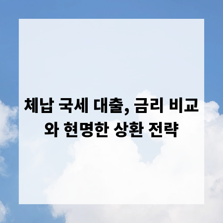 체납 국세 대출, 금리 비교와 현명한 상환 전략