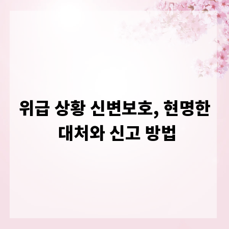 위급 상황 신변보호, 현명한 대처와 신고 방법