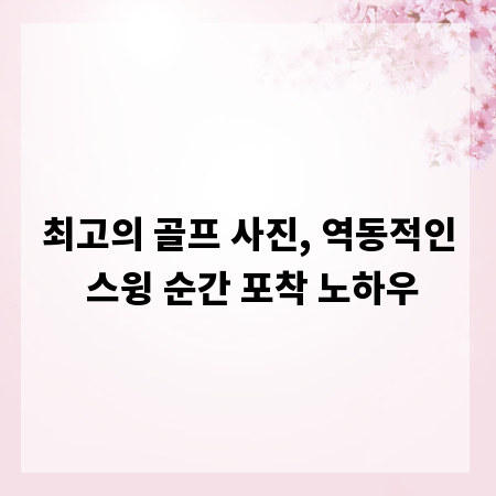 최고의 골프 사진, 역동적인 스윙 순간 포착 노하우