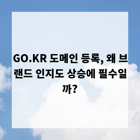 GO.KR 도메인 등록, 왜 브랜드 인지도 상승에 필수일까?