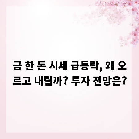 금 한 돈 시세 급등락, 왜 오르고 내릴까? 투자 전망은?