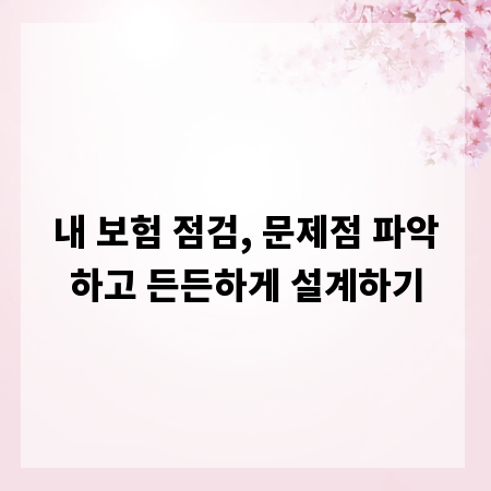 내 보험 점검, 문제점 파악하고 든든하게 설계하기