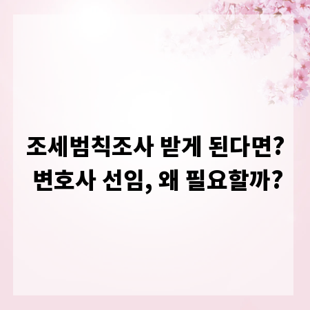 조세범칙조사 받게 된다면? 변호사 선임, 왜 필요할까?