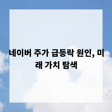 네이버 주가 급등락 원인, 미래 가치 탐색
