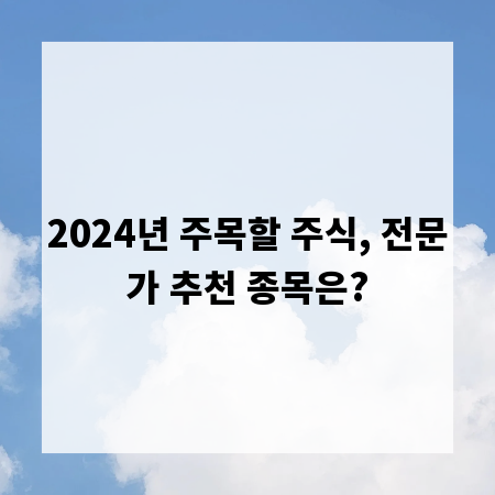 2024년 주목할 주식, 전문가 추천 종목은?