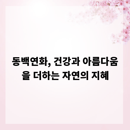 동백연화, 건강과 아름다움을 더하는 자연의 지혜