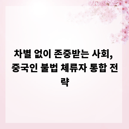 차별 없이 존중받는 사회, 중국인 불법 체류자 통합 전략