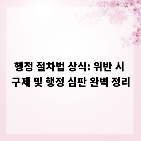 행정 절차법 상식: 위반 시 구제 및 행정 심판 완벽 정리