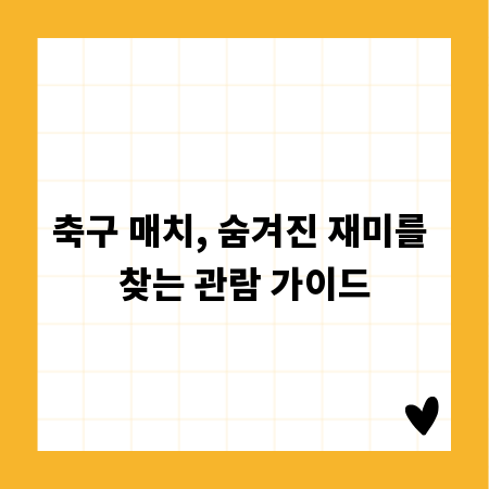 축구 매치, 숨겨진 재미를 찾는 관람 가이드