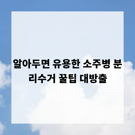 알아두면 유용한 소주병 분리수거 꿀팁 대방출