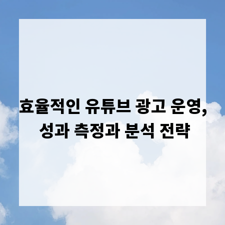 효율적인 유튜브 광고 운영, 성과 측정과 분석 전략