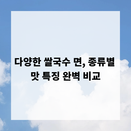 다양한 쌀국수 면, 종류별 맛 특징 완벽 비교
