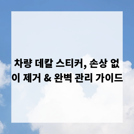 차량 데칼 스티커, 손상 없이 제거 & 완벽 관리 가이드