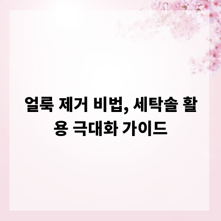 얼룩 제거 비법, 세탁솔 활용 극대화 가이드