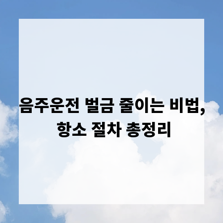 음주운전 벌금 줄이는 비법, 항소 절차 총정리