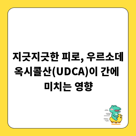지긋지긋한 피로, 우르소데옥시콜산(UDCA)이 간에 미치는 영향