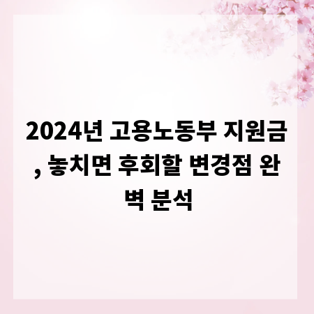 2024년 고용노동부 지원금, 놓치면 후회할 변경점 완벽 분석