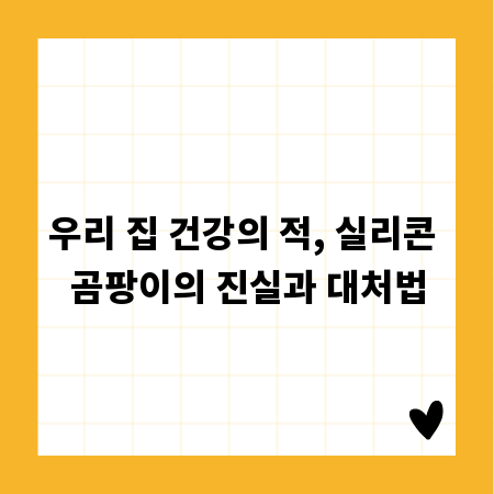 우리 집 건강의 적, 실리콘 곰팡이의 진실과 대처법