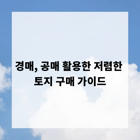 경매, 공매 활용한 저렴한 토지 구매 가이드