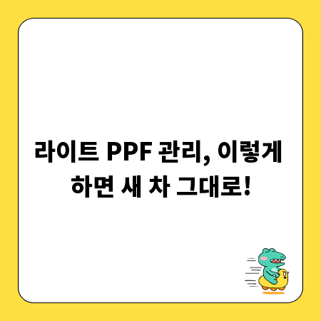 라이트 PPF 관리, 이렇게 하면 새 차 그대로!