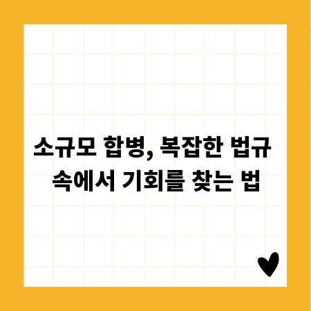 소규모 합병, 복잡한 법규 속에서 기회를 찾는 법