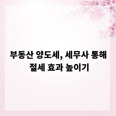 부동산 양도세, 세무사 통해 절세 효과 높이기