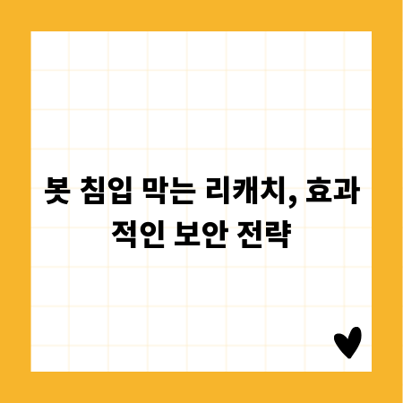 봇 침입 막는 리캐치, 효과적인 보안 전략