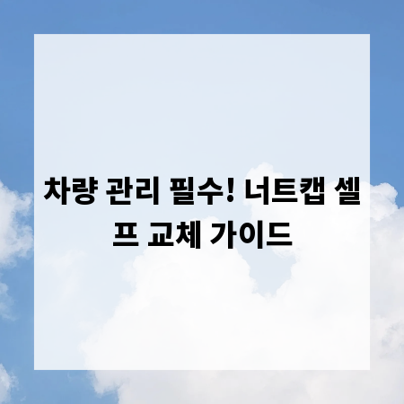 차량 관리 필수! 너트캡 셀프 교체 가이드
