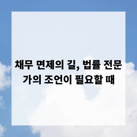 채무 면제의 길, 법률 전문가의 조언이 필요할 때