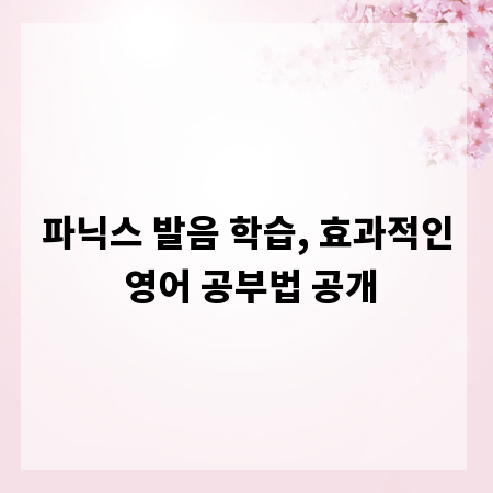 파닉스 발음 학습, 효과적인 영어 공부법 공개