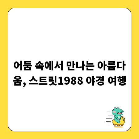 어둠 속에서 만나는 아름다움, 스트릿1988 야경 여행