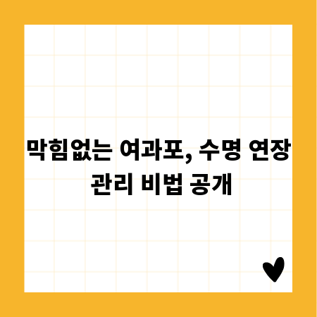 막힘없는 여과포, 수명 연장 관리 비법 공개