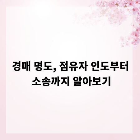 경매 명도, 점유자 인도부터 소송까지 알아보기