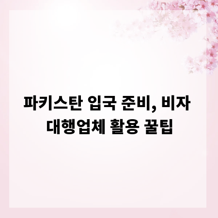 파키스탄 입국 준비, 비자 대행업체 활용 꿀팁