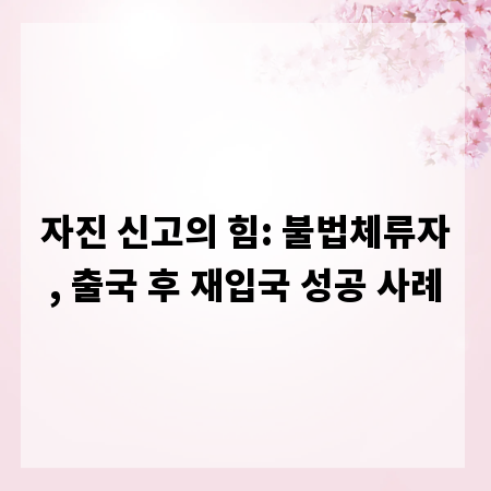 자진 신고의 힘: 불법체류자, 출국 후 재입국 성공 사례