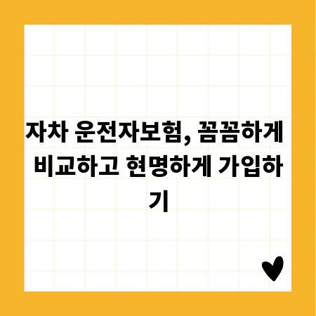 자차 운전자보험, 꼼꼼하게 비교하고 현명하게 가입하기
